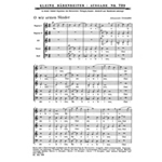 O wir armen Sunder -2 Liedsatze zu 4 und 5 Stimmen-