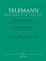 Methodical Sonatas  I