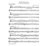 12 Variationen uber "Nun laube, Lindlein, laube" fur Recorder Quartet oder andere Instrumente op. 53