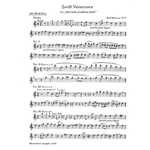 12 Variationen uber "Nun laube, Lindlein, laube" fur Recorder Quartet oder andere Instrumente op. 53