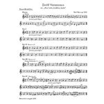 12 Variationen uber "Nun laube, Lindlein, laube" fur Recorder Quartet oder andere Instrumente op. 53
