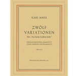 12 Variationen uber "Nun laube, Lindlein, laube" fur Recorder Quartet oder andere Instrumente op. 53