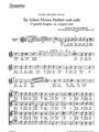 Ihr lieben Hirten, furchtet euch nicht - O gentils bergers, ne craignez paz -Kantate- (aus "Musikali
