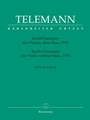 12 Fantasias For Violin