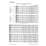 Saul, Saul, was verfolgst du mich? SWV 415 -Cappellchor 1/2-
