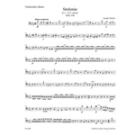 Symphony C minor Hob. I:95