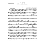 Symphony D major -Overture to "La finta giardiniera" K. 196 und K. 121 (207a)-