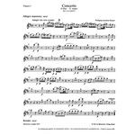Concerto for Flute and Orchestra G major K 313 (285c)