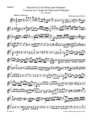 Concerto for Flute and Orchestra G major K 313 (285c)