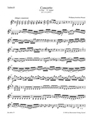 Concerto for Flute and Orchestra G major K 313 (285c)