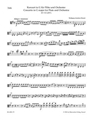 Concerto for Flute and Orchestra G major K 313 (285c)
