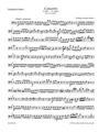 Concerto for Flute and Orchestra G major K 313 (285c)