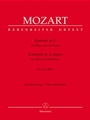 Concerto In G Major  KV 313