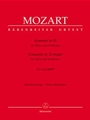 Concerto In D Major  K 314 (285d)