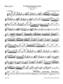 Brandenburg Concerto Nr. 4 G major BWV 1049