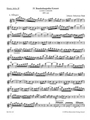Brandenburg Concerto Nr. 4 G major BWV 1049