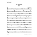 Jesu, meine Freude for five-part Mixed choir E minor BWV 227 -Motet-