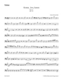 Komm, Jesu, komm BWV 229 -Motet for two four-part Mixed choirs-