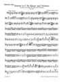 Concerto for Piano and Orchestra Nr. 21 C major K. 467