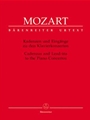Cadenzas & Lead-ins