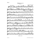 Symphony Nr. 14 A major K. 114