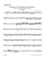Concerto for Piano and Orchestra Nr. 8 C major K. 246 "Lutzow Concerto"