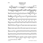 Symphony Nr. 1 D major D 82 (1813)