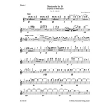 Symphony Nr. 2 B-flat major D 125 (1814)