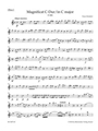 Magnificat C-Dur D 486