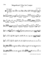 Magnificat C-Dur D 486