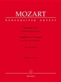 Andante for Flute and Orchestra C major K. 315 (285e)