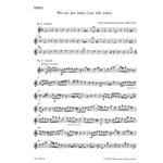 Wer nur den lieben Gott la?t walten -Cantata-