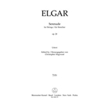 Serenade for Strings op. 20