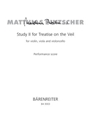 Study II for Treatise on the Veil for violin, viola and Violoncello (2005)