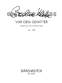 Vor dem Gewitter fur Violine solo op. 128 -Capriccio-