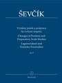 Changes of Position and Preparatory Scale Studies  Opus 8