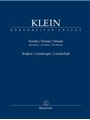 Sonata for  Piano / Landscape