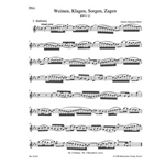 Weeping, crying, sorrow, sighing BWV 12 -Cantata for the Sunday Jubilate-