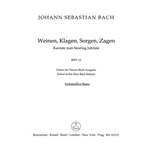 Weeping, crying, sorrow, sighing BWV 12 -Cantata for the Sunday Jubilate-