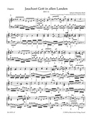 Praise ye God thruout creation BWV 51 -Cantata for the 15th Sunday after Trinity-