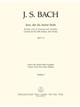 Jesu, by Thy Cross and Passion BWV 78 -Cantata for the 14th Sunday after Trinity-