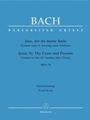 Cantata #078
