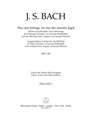 Was mir behagt, ist nur die muntre Jagd BWV 208 -Congratulatory Cantata for the Birthday of Duke Chr