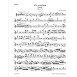 Symphony no. 7 in D minor op. 70