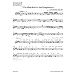 organ plus brass, Volume II: funf Chorale Preludes of the Romantic Period (Original works and arrang