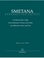 Z ceských luhu a haju (From Bohemia's Woods and Fields - Aus Bohmens Hain und Flur) (from Ma vlast - Mein Vaterland)