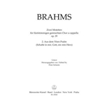 From Psalm no. 51 (Schaffe in mir, Gott, ein rein Herz) op. 29 no. 2