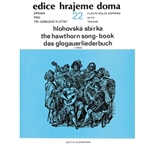 Das Glogauer Liederbuch