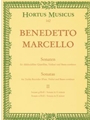Sonatas for Treble Recorder (Flute, Violin) and Basso continuo (Volume II)