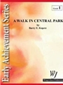 Walk In Central Park